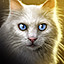 Stray Cat Strut icon