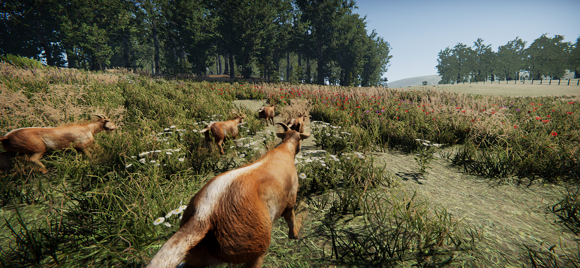 Goat Massacre Screenshot 2