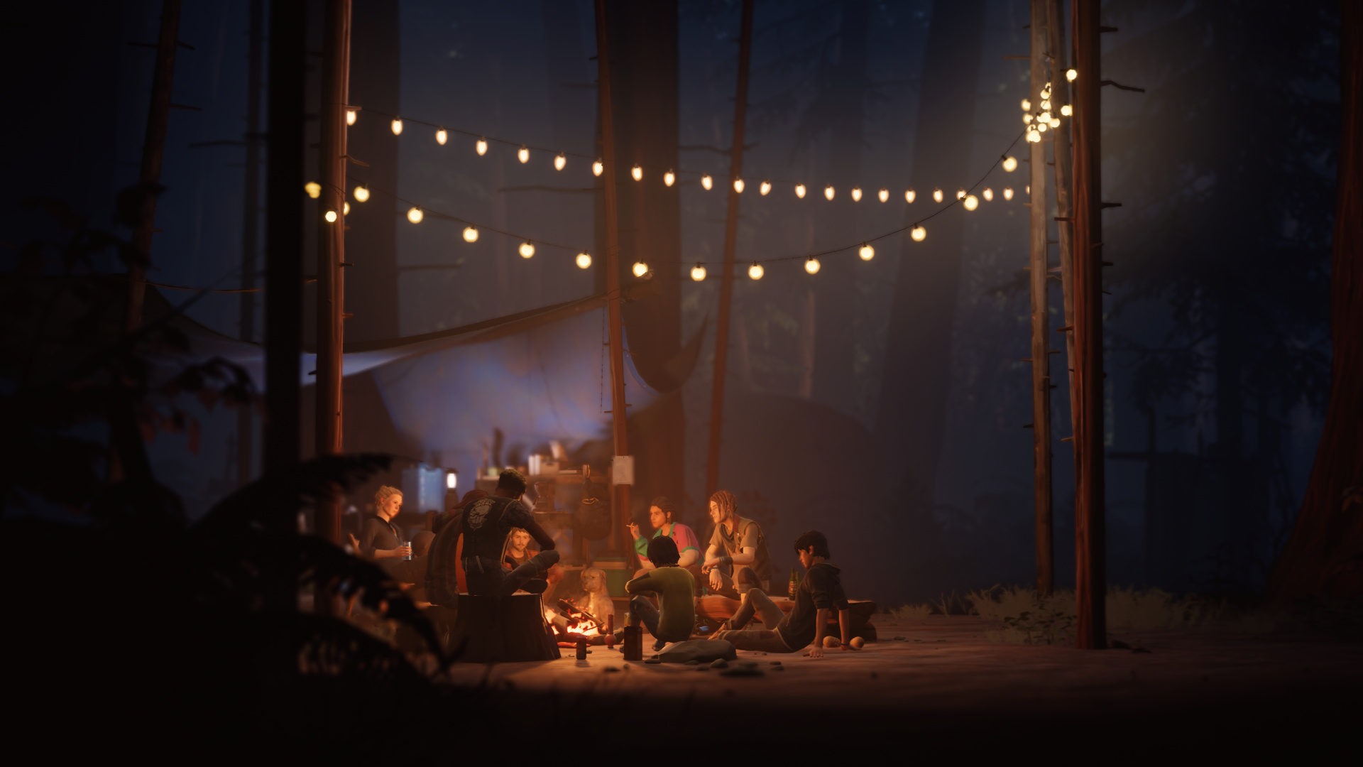Life is Strange 2 Screenshot 1