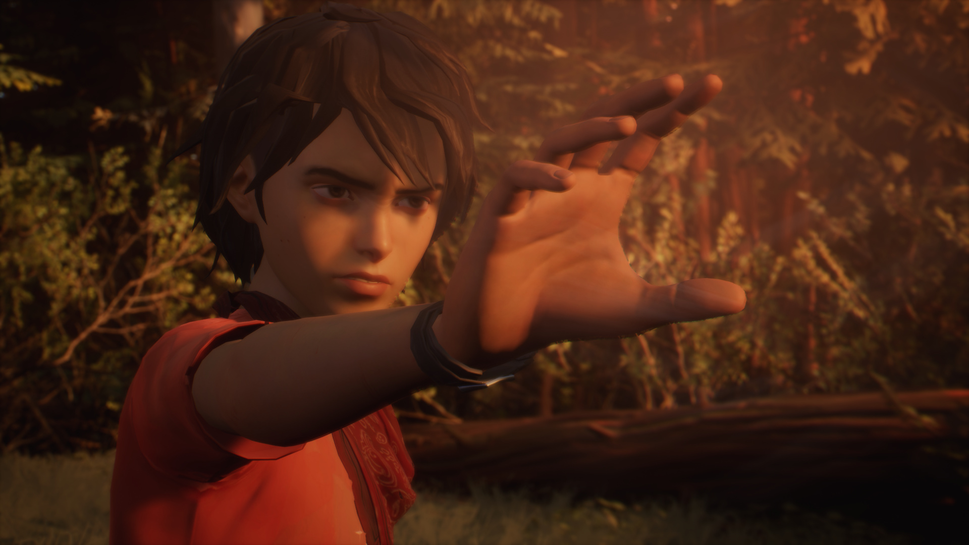 Life is Strange 2 Screenshot 0