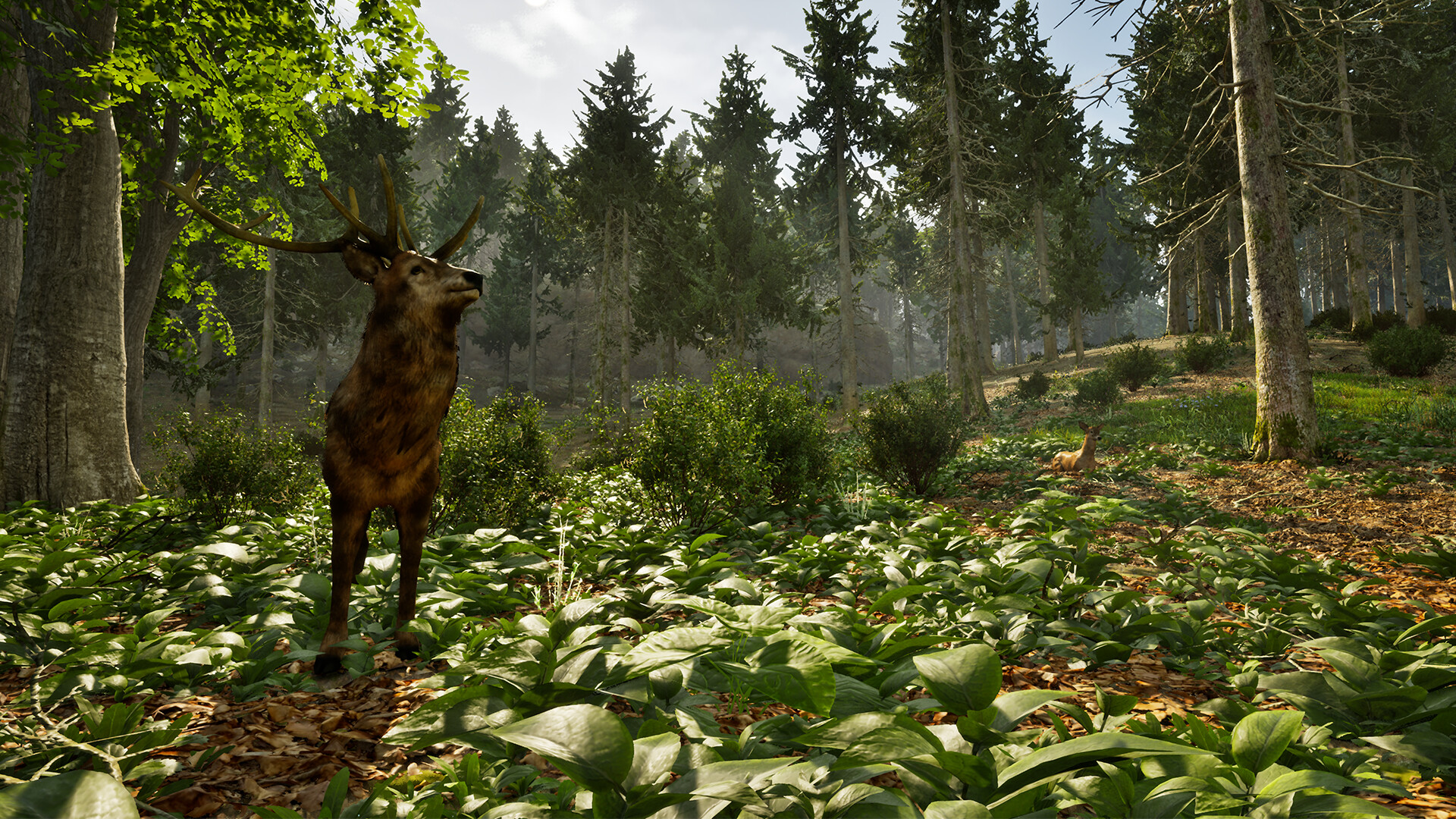Park Ranger Simulator Screenshot 8