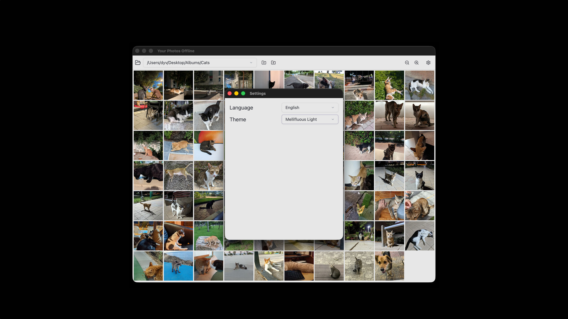 Your Photos Offline Screenshot 3